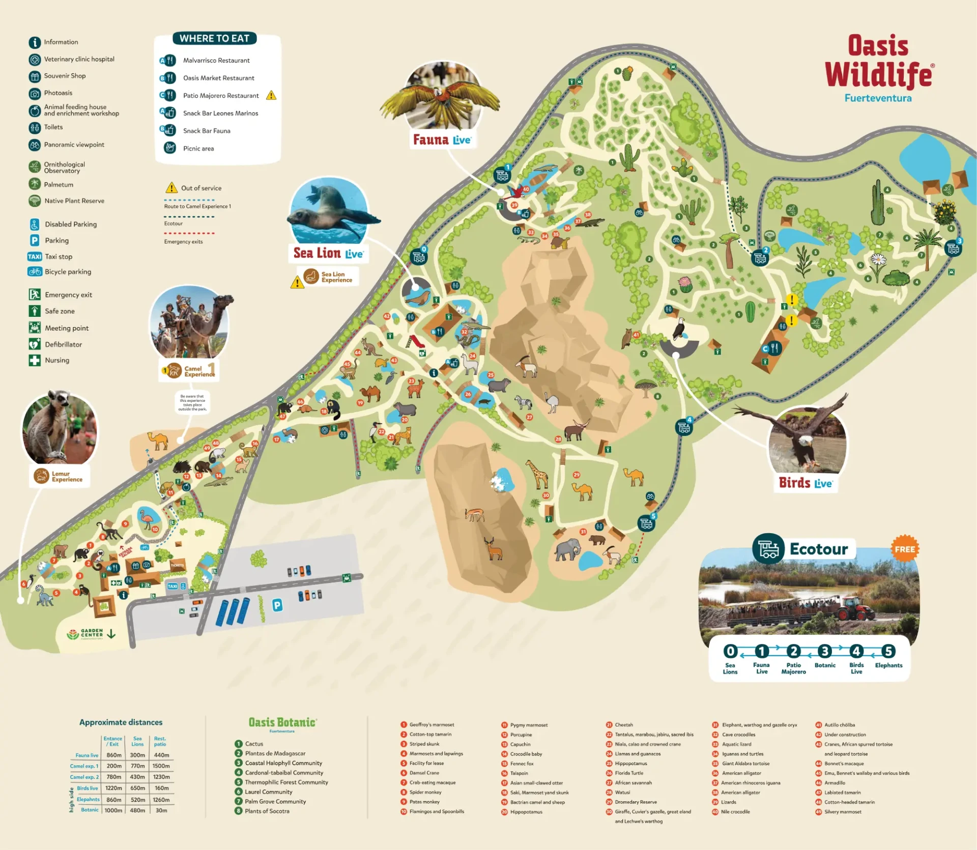 Oasis-Wildlife-Fuerteventura-Map-2024