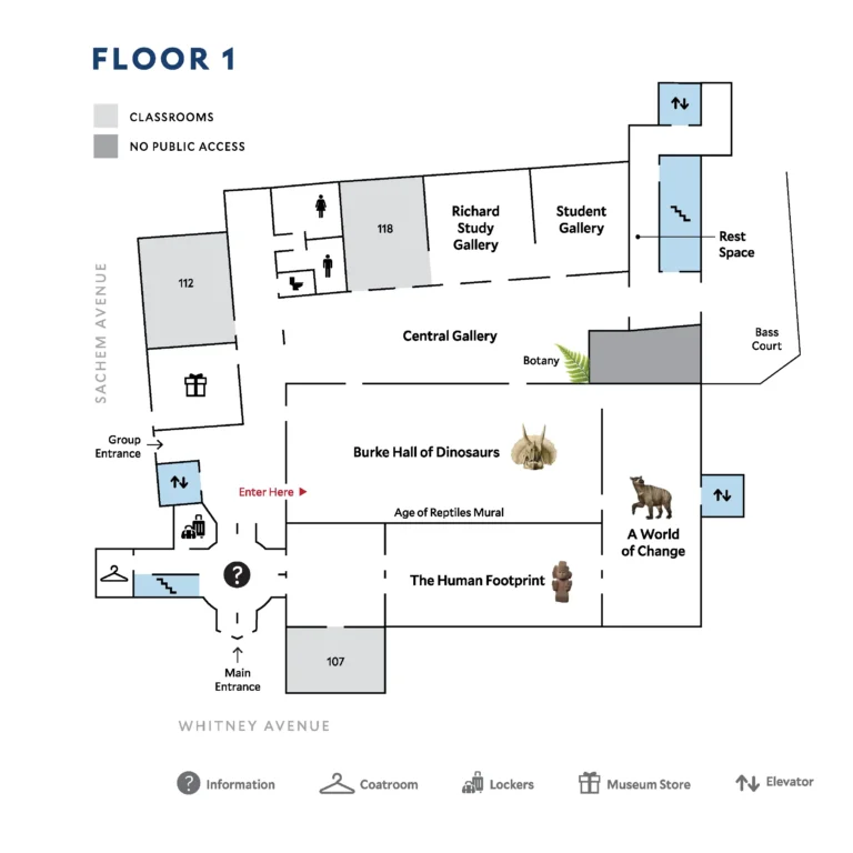 Yale Peabody Museum Map 2025-1